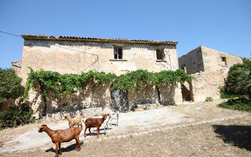 Estate for sale in Puerto Pollensa