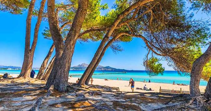 Beach in Port Alcúdia. 