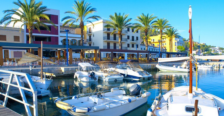 Harbour of Port Andratx