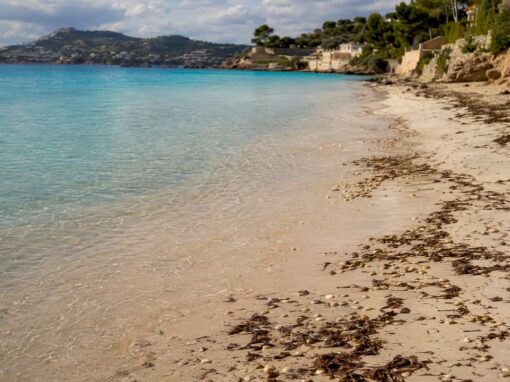 Playa de Illetas sandy beach and clear water