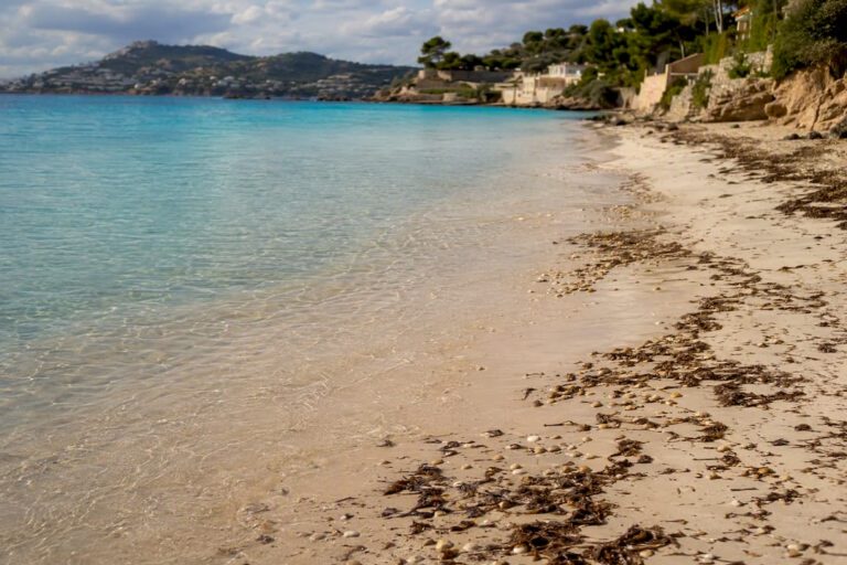 Playa de Illetas sandy beach and clear water